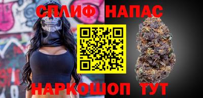 шишки Будённовск
