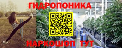 шишки Будённовск