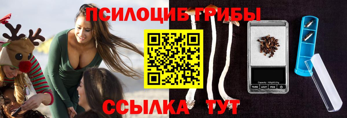 Псилоцибиновые грибы MAGIC MUSHROOMS  Галлюциногенные грибы мицелий  Тихвин  Вход с VPN 